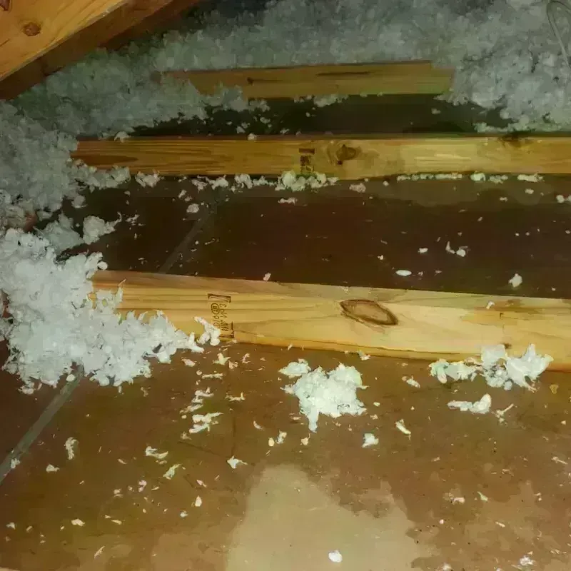 Attic Water Damage in Honalo, HI